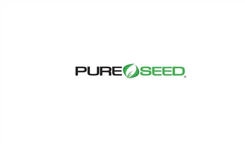 Pure Seed