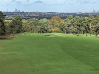The Addington: Unveiling the past