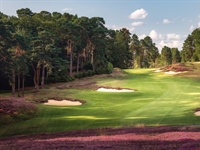 St George’s Hill: Big plans for Colt course