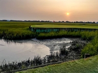 Pawleys Plantation reopens following work by Troy Vincent