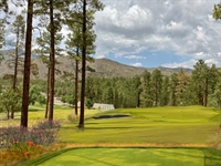 Schoeder and Richardson to begin Los Alamos project in spring 2024