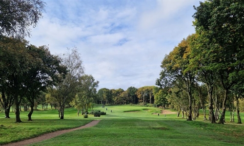 Renovation work continues on Colt design at Sandwell Park