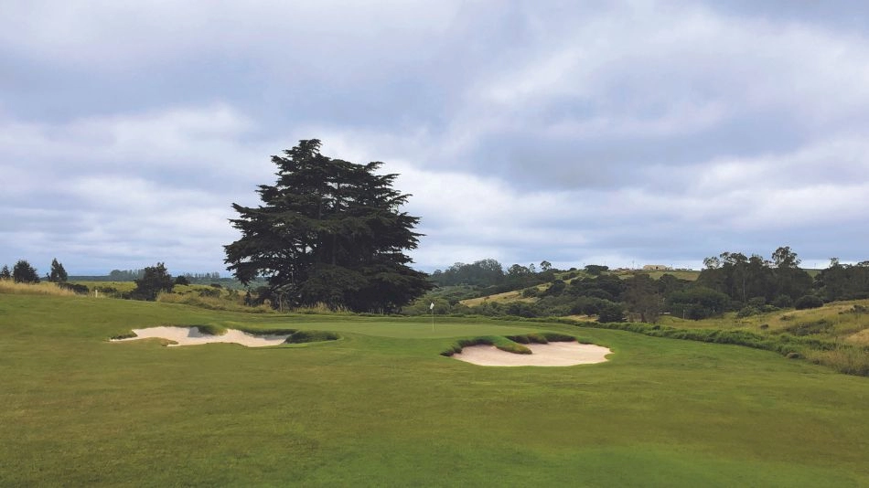 Forrest Richardson to develop renovation plan for Pajaro Valley
