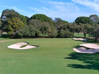 OCM completes redesign of another eight greens at Mount Lawley