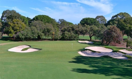 OCM completes redesign of another eight greens at Mount Lawley
