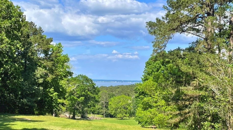 Ty Butler to renovate abandoned Texas course