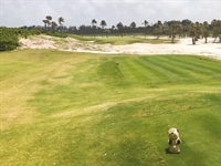 Gopher Watch Competition – July 2024
