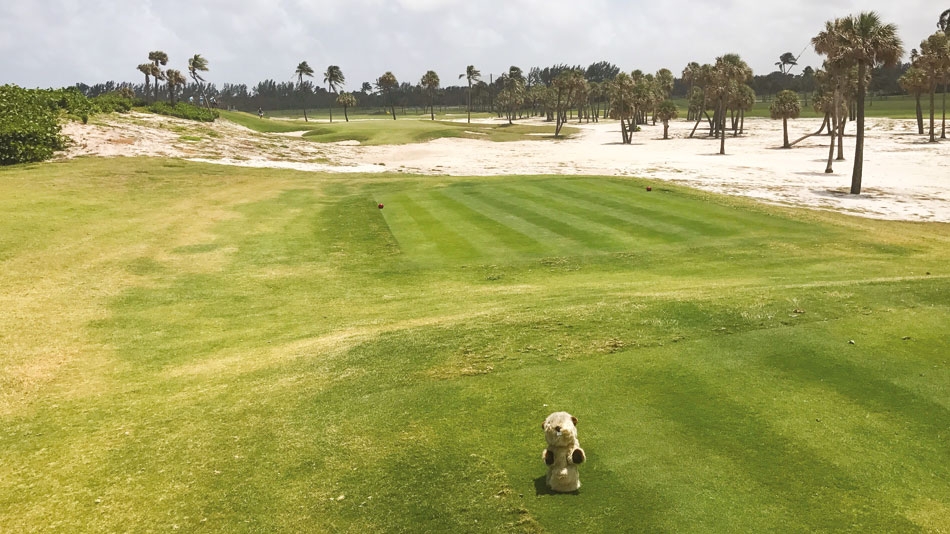 Gopher Watch Competition – July 2024