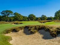 Heathland restoration for Royal Wimbledon