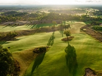 Sedge Valley: A break from tradition