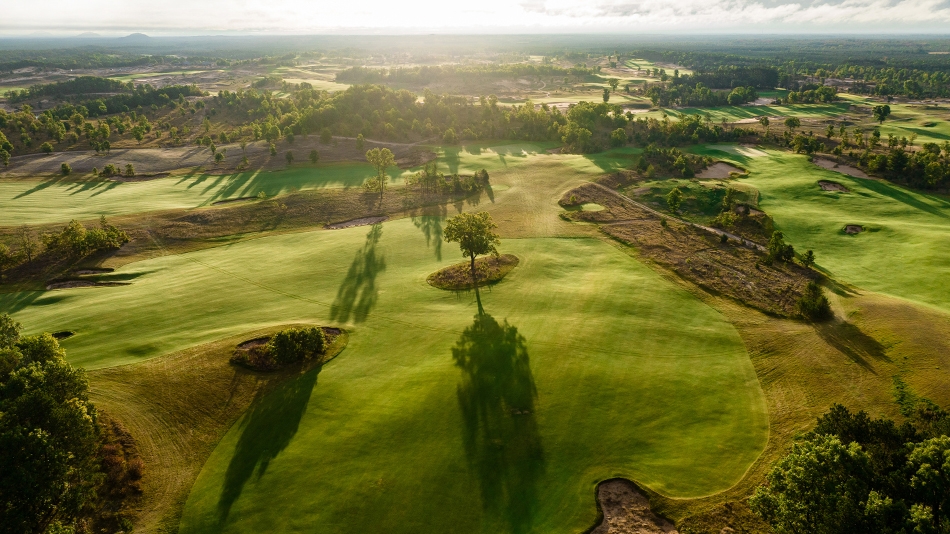 Sedge Valley: A break from tradition
