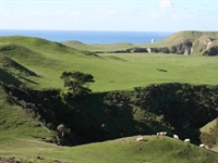 Tom Doak expresses desire to build second course at Cape Kidnappers