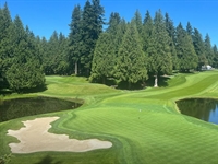 Sahalee CC: Out of the woods