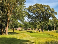 Goodwood: Down in the woods