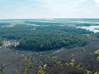New Coore & Crenshaw course to open at Palmetto Bluff in late 2025