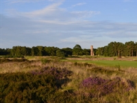 Woodhall Spa to 'embrace innovation’ with new agronomy programme