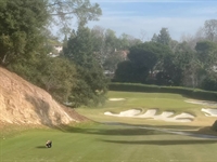 Gopher Watch Competition – April 2025
