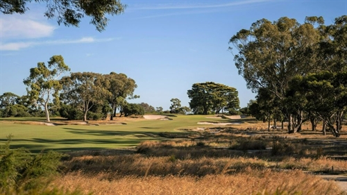 The future of vegetation management on Sandbelt courses