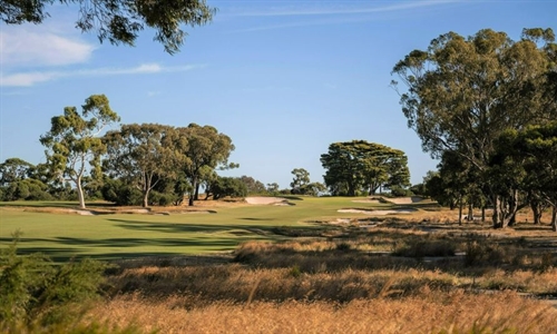 The future of vegetation management on Melbourne’s Sandbelt