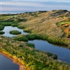 The par-three seventh hole plays over wetlands to a green set into the side of a dune (Photo: Jacob Sjöman)