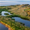 The par-three seventh hole plays over wetlands to a green set into the side of a dune (Jacob Sjöman)