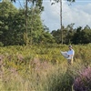 Gonzalo Fernández-Castaño is leading the project for CDP (Photo: CDP)