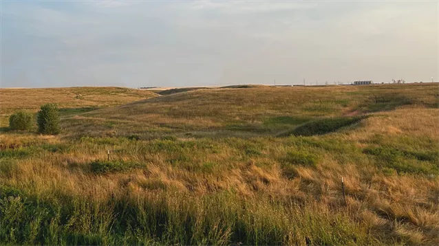 Williston Municipal: A community investment