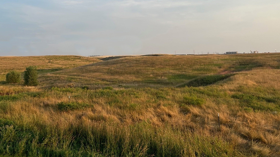 Williston Municipal: A community investment