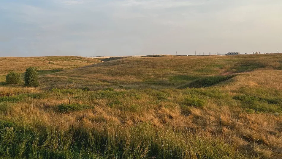 Williston Municipal: A community investment