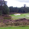 Städler has worked at Rosendaelsche, one of oldest clubs in the Netherlands (Photo: Rosendaelsche Golf Club)