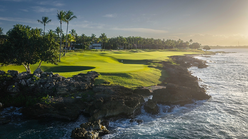 Teeth of the Dog: New teeth for an old dog