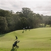 The ninth green (Photo: Newgreens Chatswood)