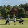 The twelfth green (Photo: Newgreens Chatswood)