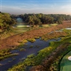 Vegetation management around wetlands is also planned to open views of the water (Photo: Haig Point Club)