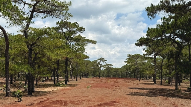 Brian Curley breaks ground on new FLC Pleiku course in Vietnam