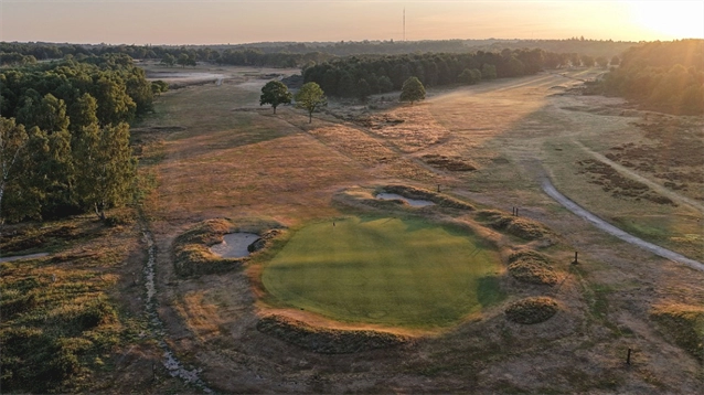 CDP plans to further reinstate heathland and MacKenzie character at Sutton Coldfield