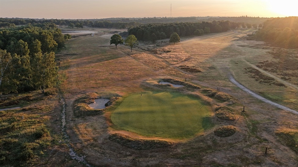 CDP plans to further reinstate heathland and MacKenzie character at Sutton Coldfield