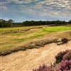 The club is undertaking work to re-establish heather scrapes across its course, as seen on the seventh hole (Photo: CDP)