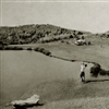 A historic photo of the fifth… (Photo: Mid Ocean Club)