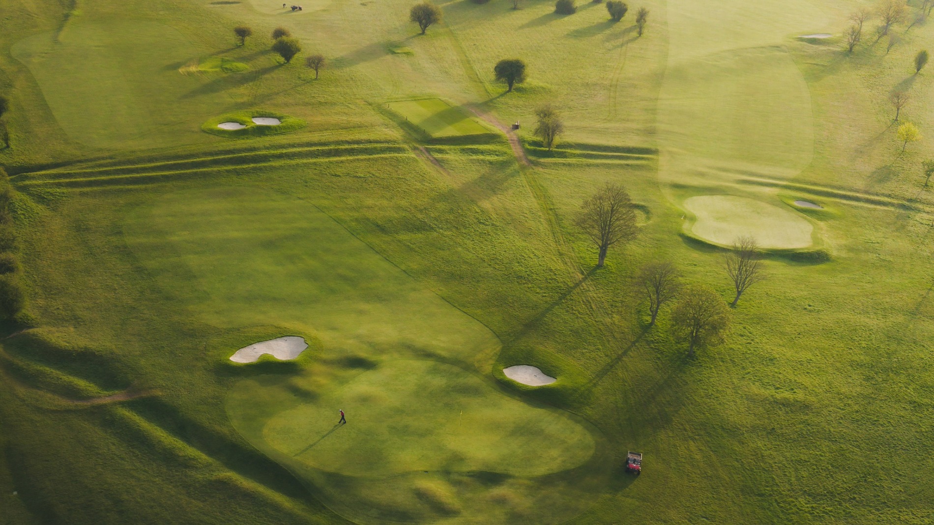 Hockley focuses on restoring downland character and enhancing sustainability
