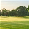 The project has seen an old oak tree preserved – with holes five and six routed around it (Photo: The Gate Golf Club)