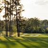 Aside from greens and native areas, all surfaces on both The Patch and The Loop were sodded with Tahoma 31 bermuda (Photo: Augusta Municipal Golf Course)