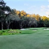 The Scurry course opened at Chechessee Creek Club on 1 September 2026 (Photo: Zinkand Golf Design)