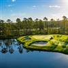 Greens have been grassed with TifEagle (Photo: Taylor Morrison)