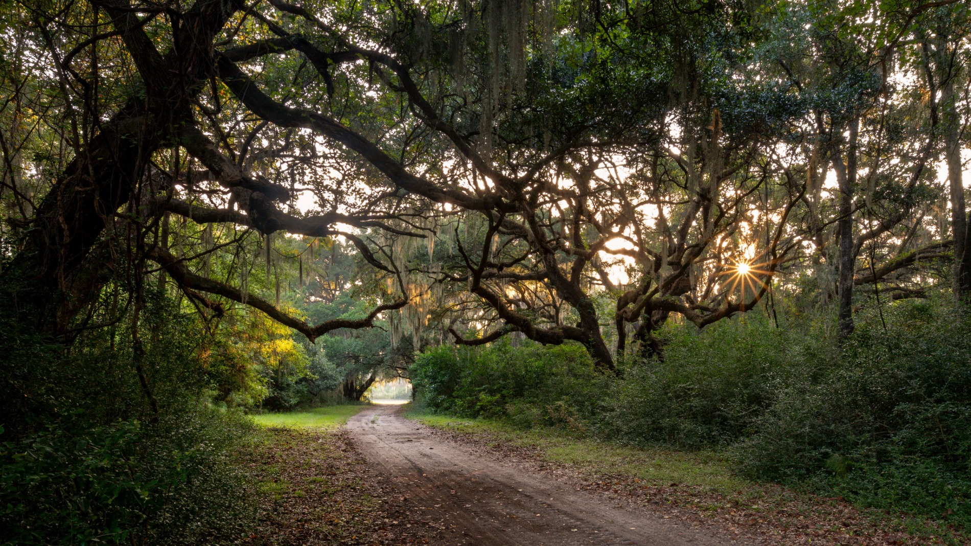 Beau Welling designs new course for Orange Hill development in South Carolina