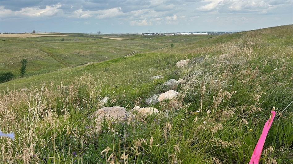 The back nine will be laid out over new land (Photo: Kevin Norby)