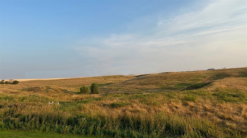 The site for the new par-three eleventh, which will be a 260-yarder that plays downhill (Photo: Kevin Norby)