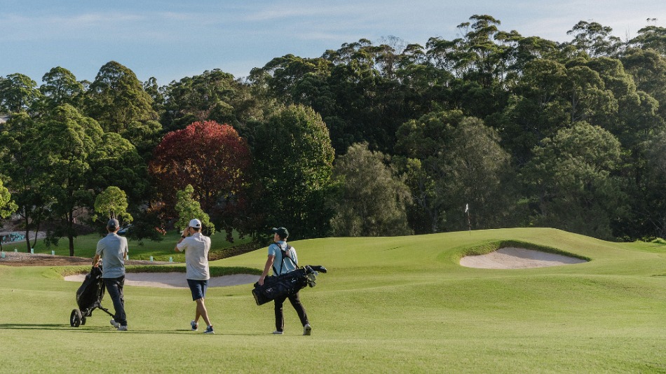 The twelfth green (Photo: Newgreens Chatswood)