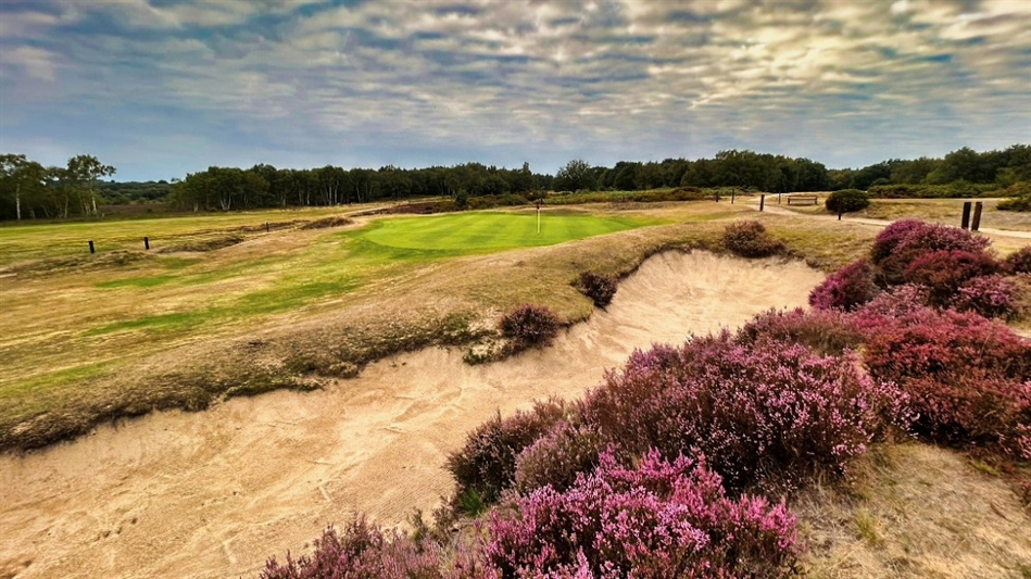The club is undertaking work to re-establish heather scrapes across its course, as seen on the seventh hole (Photo: CDP)