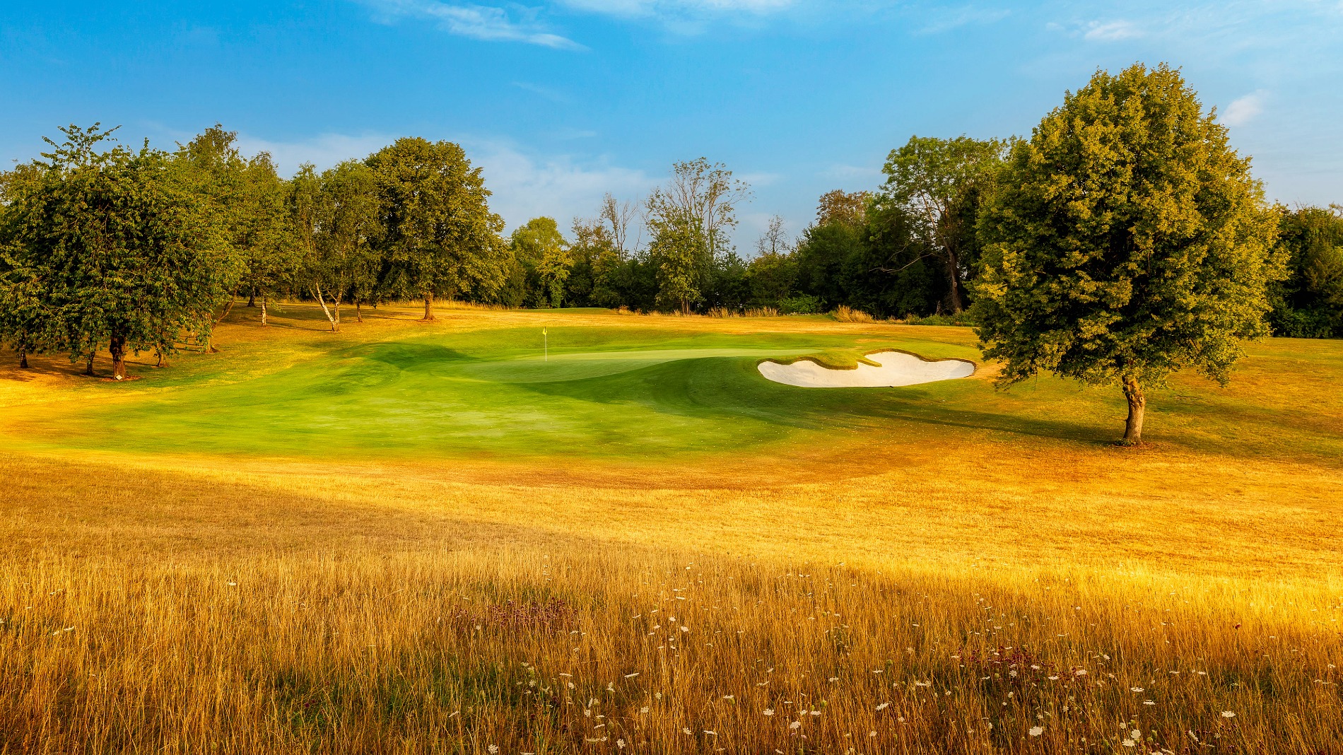 The renovated sixteenth hole (Photo: Jason Livy)